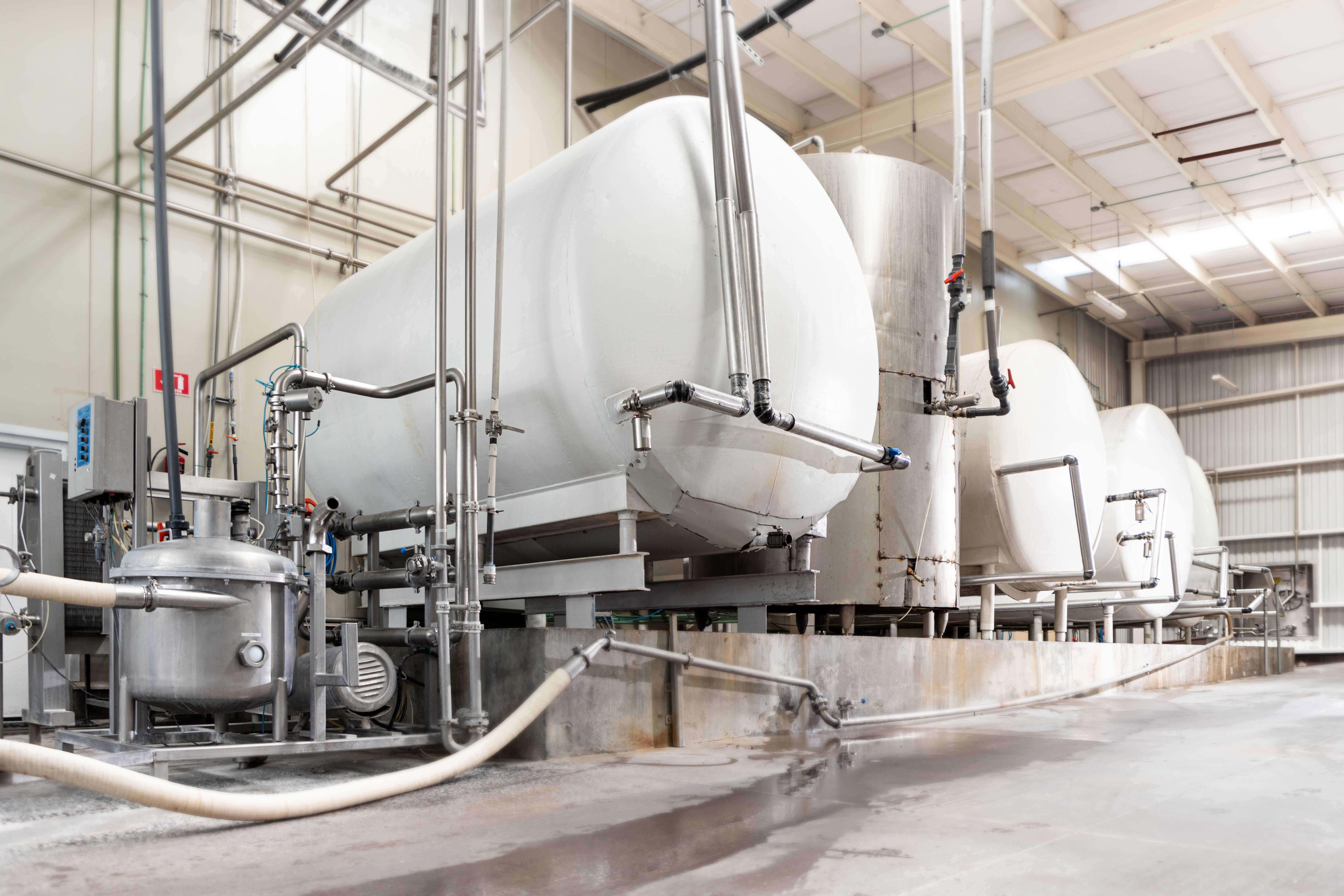 Copia de _Y6A0581.jpg