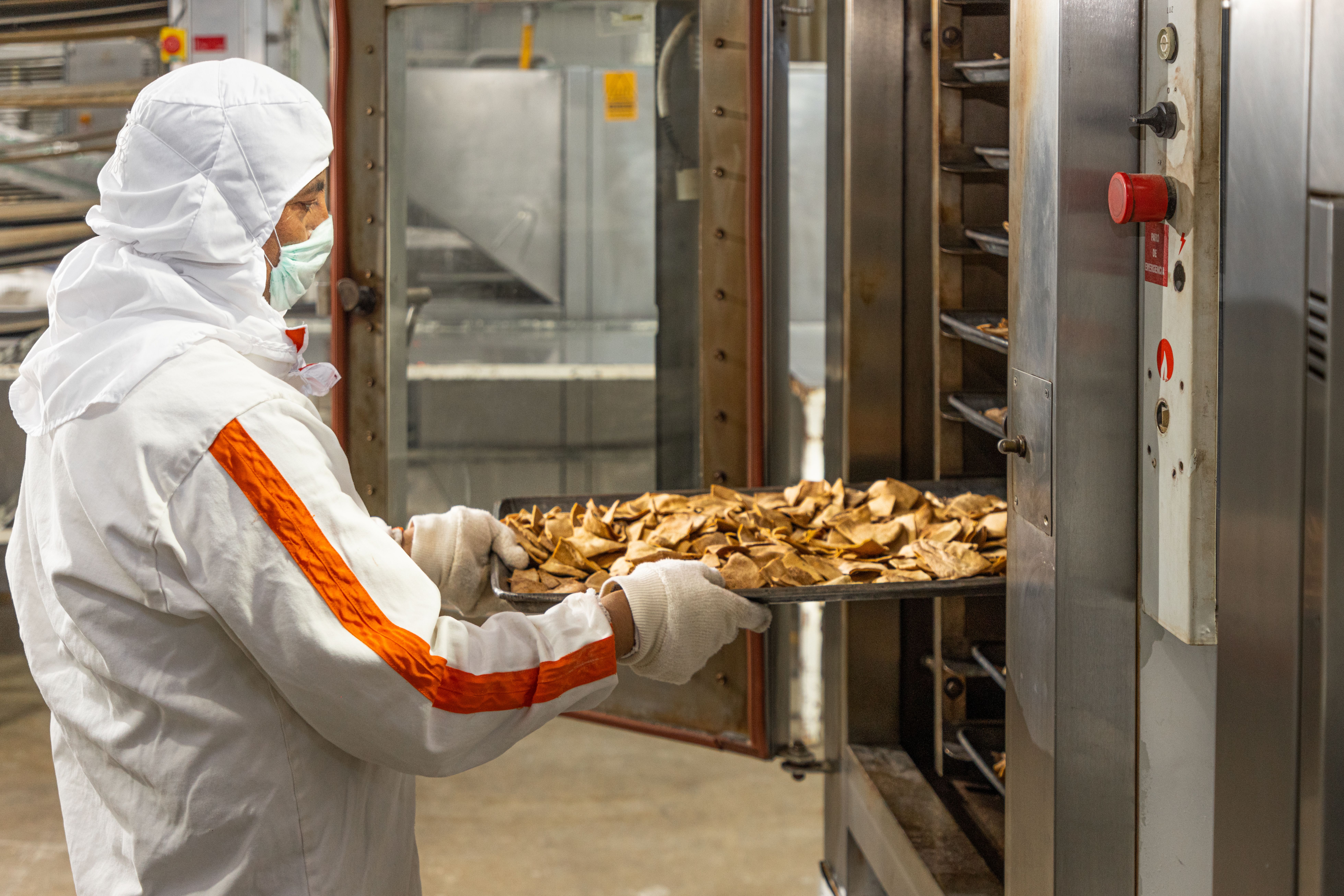 Copia de _Y6A1401.jpg